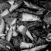 La harina de pescado producida a partir de desechos es fuente de proteina y grasa rica en ácidos grasos omega