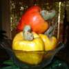 El pseudo fruto (pendúnculo) del merey es rico en vitaminas, minerales, ácidos orgánicos y carbohidratos. Se caracteriza por ser muy perecedero, secarlo es una buena opción para conservarlo