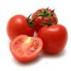Tus tomates pueden ser cortados en ruedas o en cuartos. Si son grandes no es conviniente cortarlos por la mitad pues alargaria mucho el tiempo de secado. Héchales un poco de sal antes de secarlos.